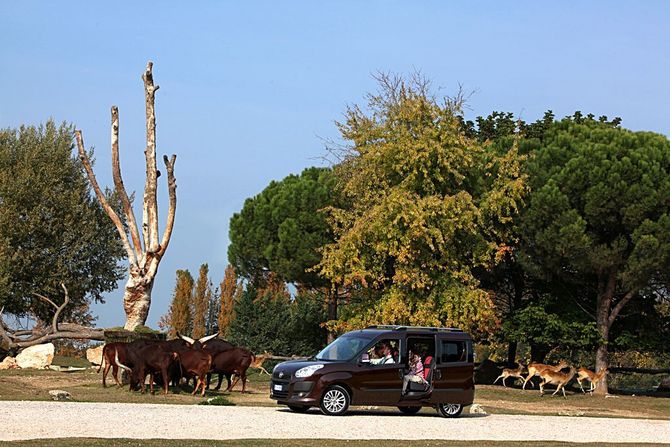 Fiat Doblò Cargo 1.3 Multijet 90hp SX