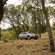 Subaru Outback 3.6R Limited