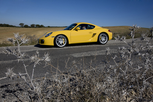 Porsche Cayman Coupe S (LSD)