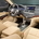 Honda Crosstour Gets Four-Cylinder Engine Option for 2012