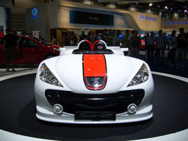 Peugeot Spider 207