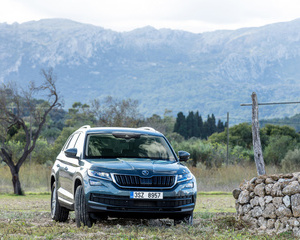 Kodiaq Ambition 2.0 TDI DSG